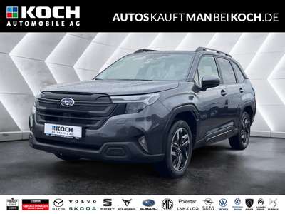 Bild Subaru Forester