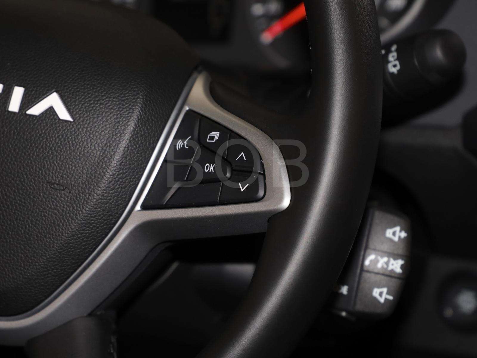 Fahrzeugbild eines Dacia Sandero