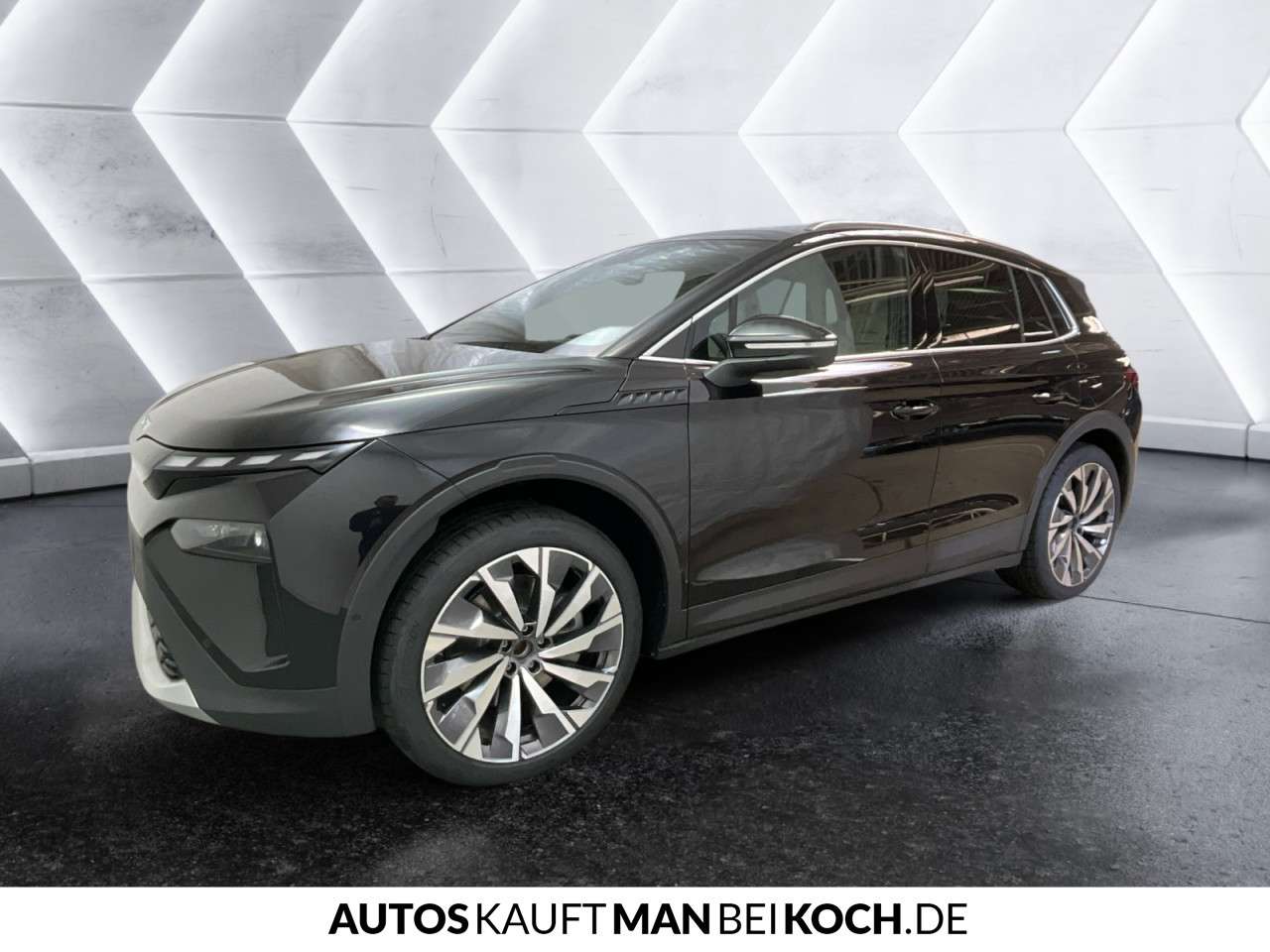 Fahrzeugbild eines Skoda ELROQ