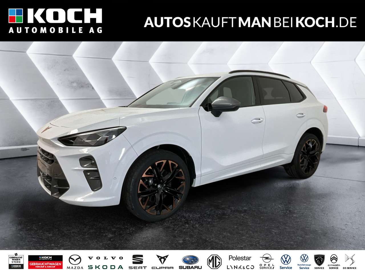 Fahrzeugbild eines CUPRA Terramar