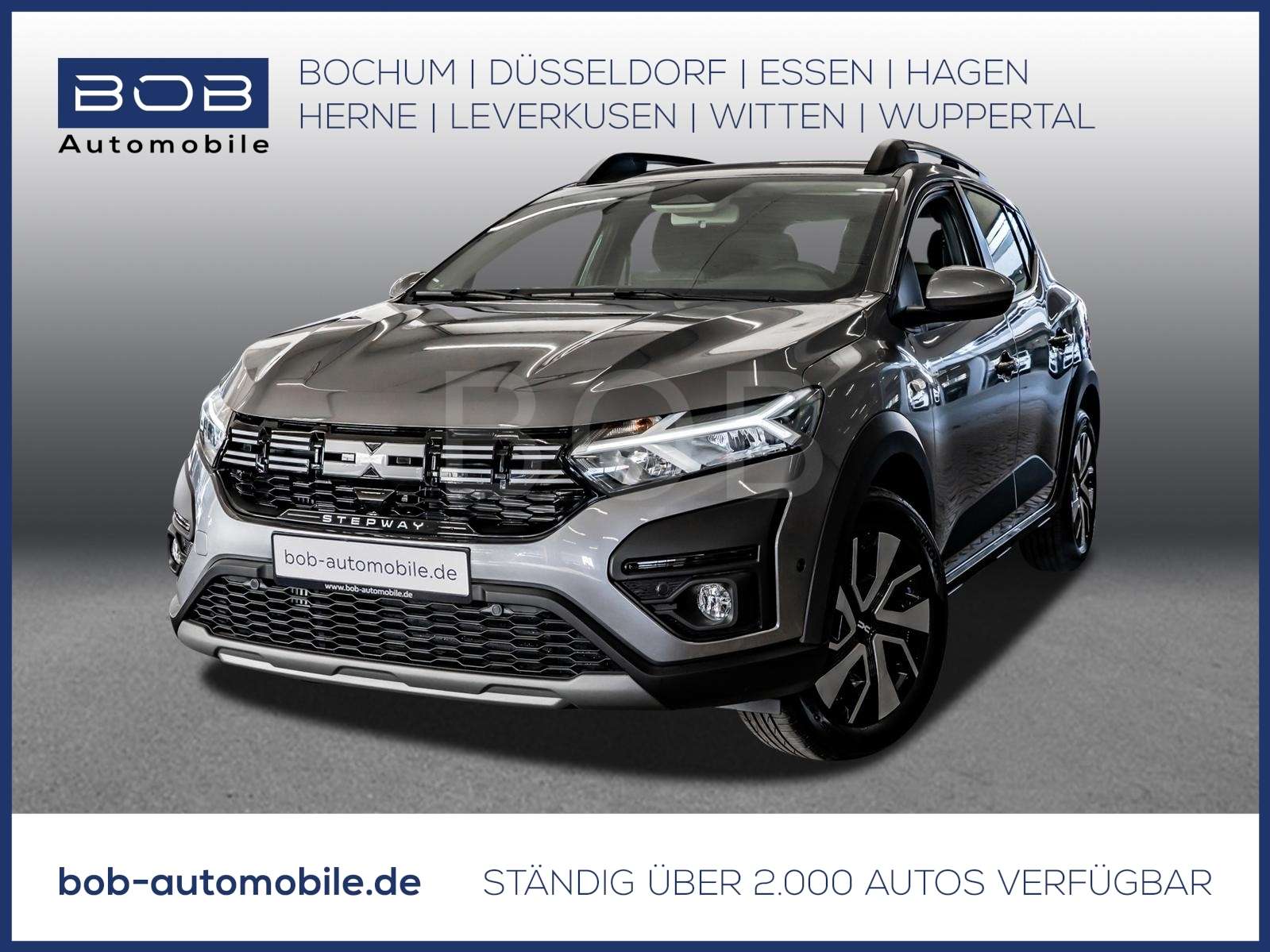 Fahrzeugbild eines Dacia Sandero