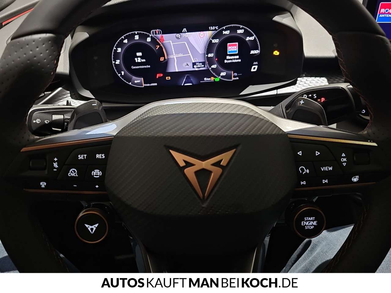Fahrzeugbild eines CUPRA Terramar