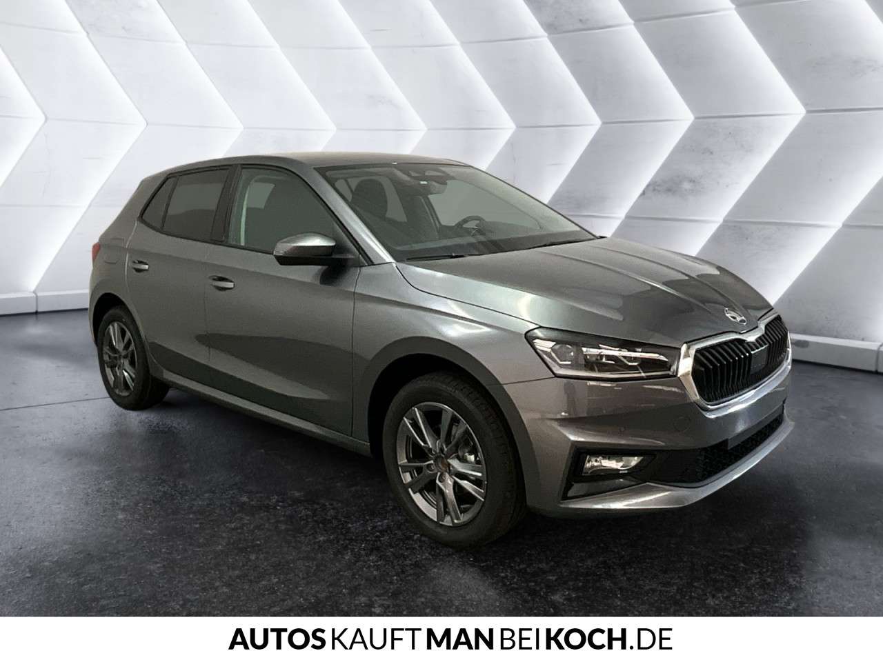 Fahrzeugbild eines Skoda Fabia