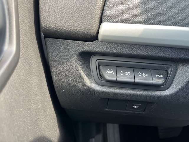 Fahrzeugbild eines Renault ZOE