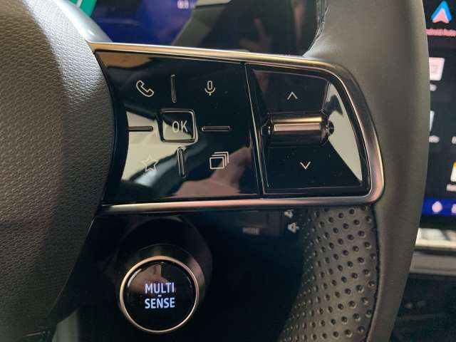 Fahrzeugbild eines Renault Rafale