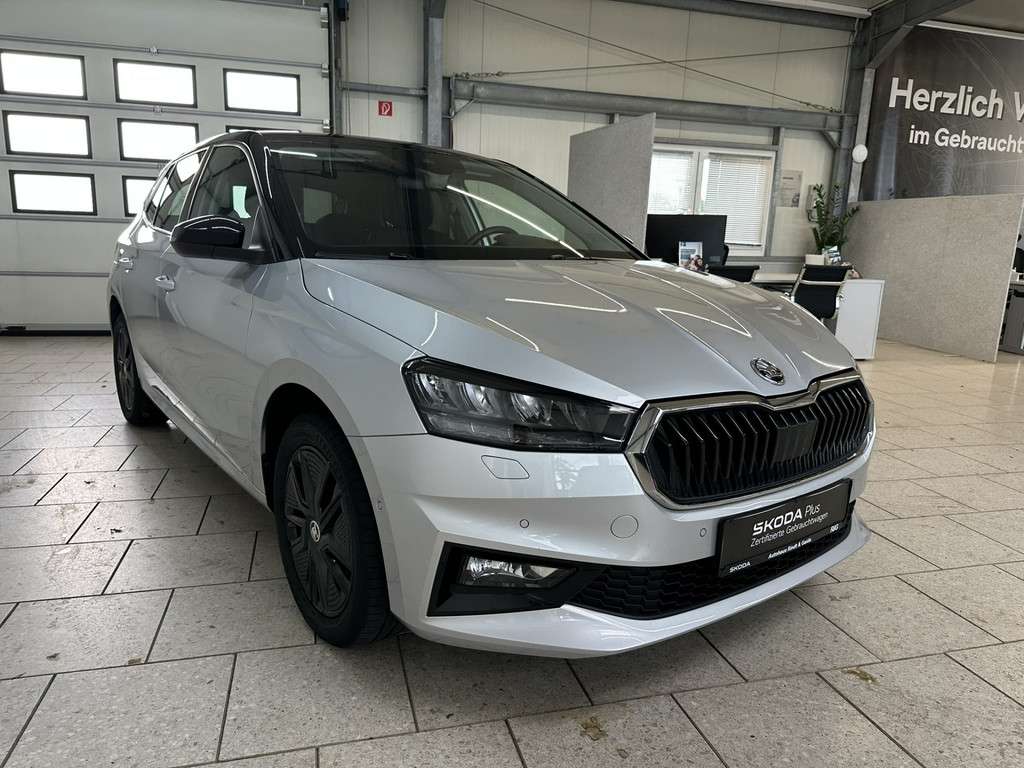 Fahrzeugbild eines Skoda Fabia
