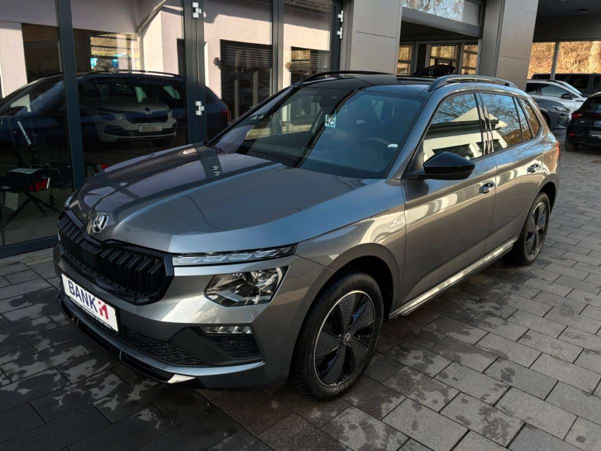 Fahrzeugbild eines Skoda Kamiq