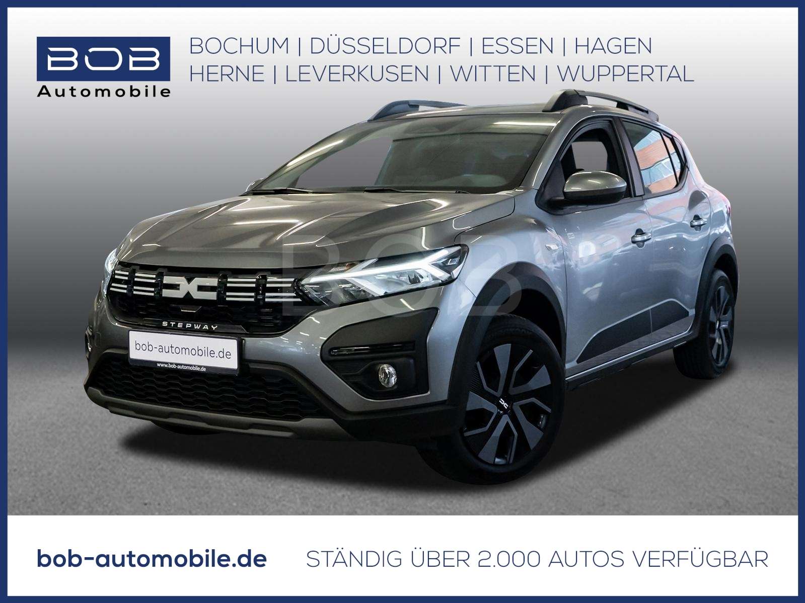 Fahrzeugbild eines Dacia Sandero