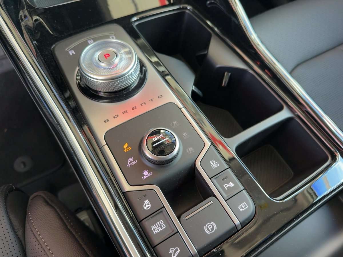 Fahrzeugbild eines Kia Sorento