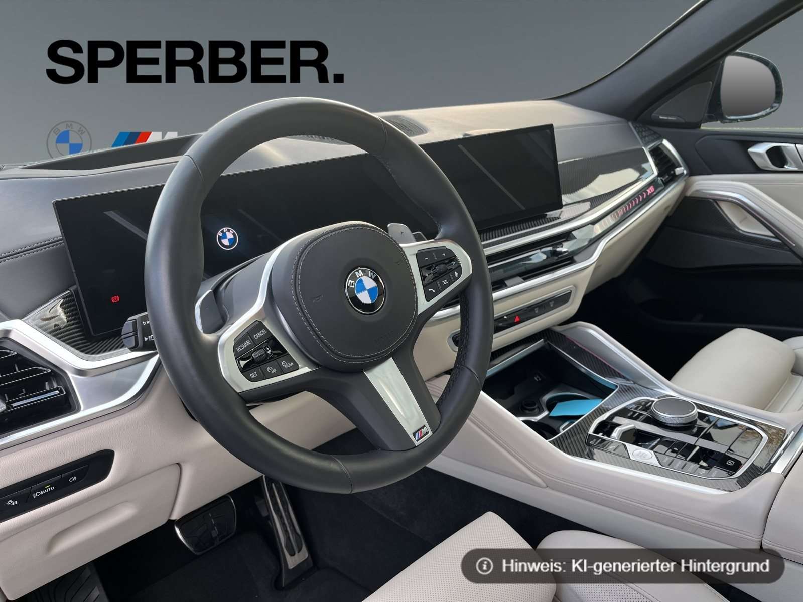 Fahrzeugbild eines BMW X6