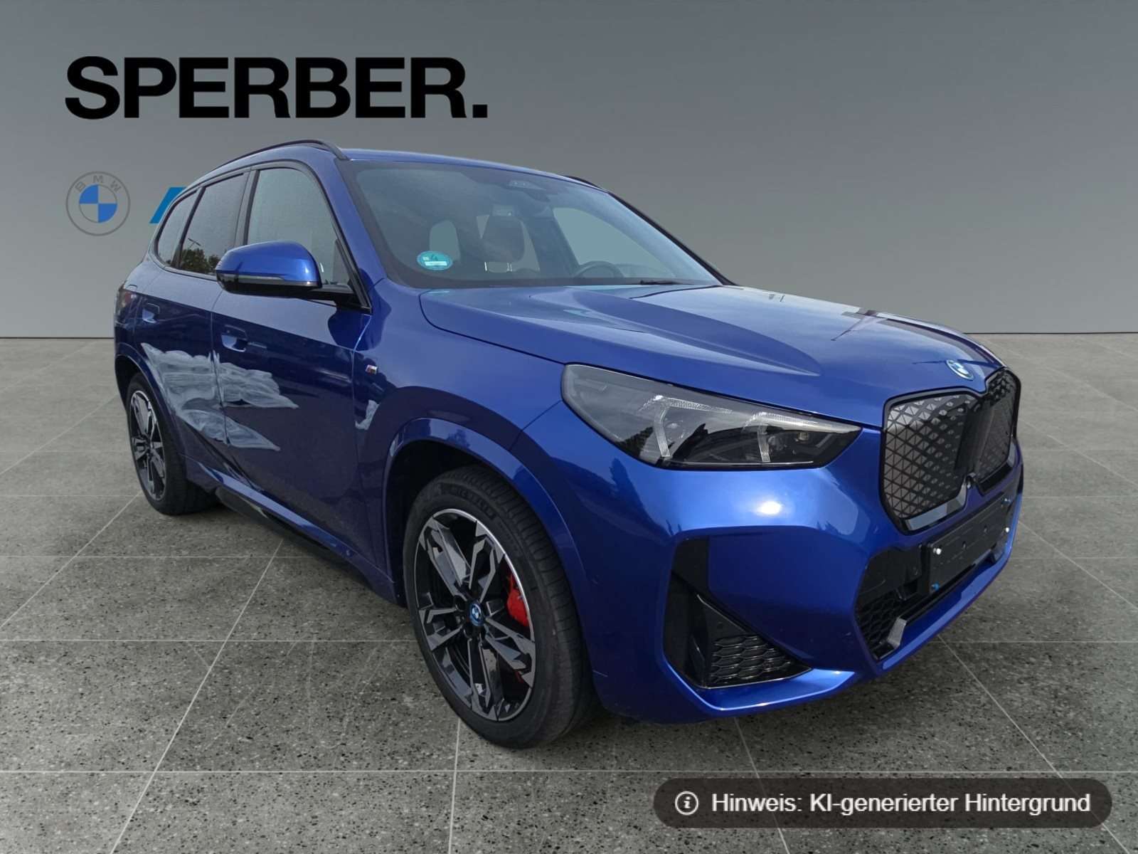 Fahrzeugbild eines BMW iX1