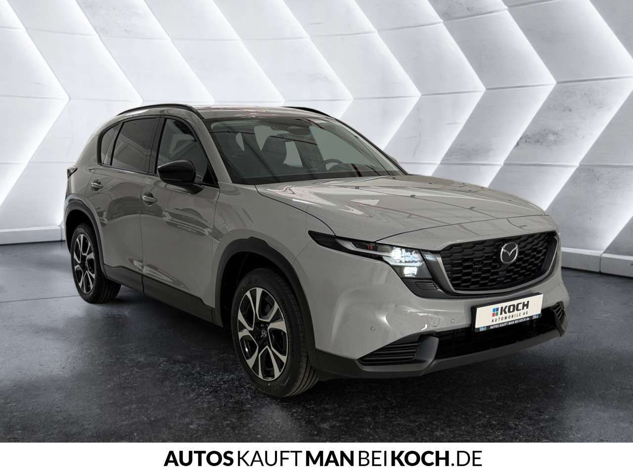 Fahrzeugbild eines Mazda Mazda2