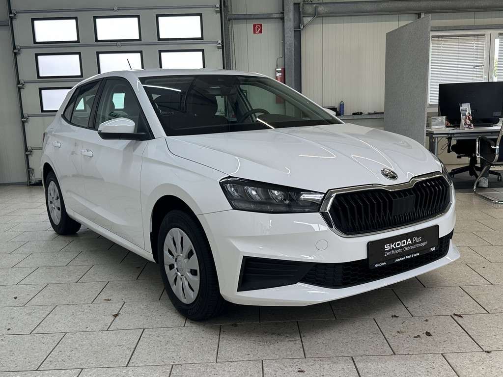 Fahrzeugbild eines Skoda Fabia