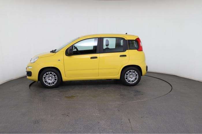 Fahrzeugbild eines Fiat Panda