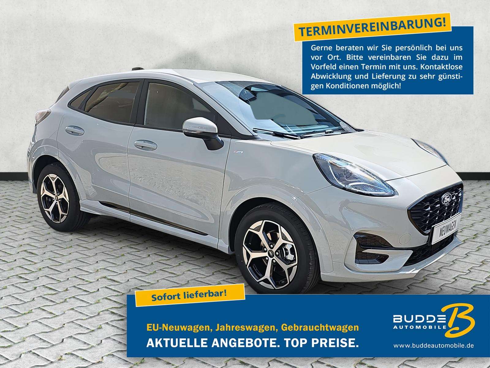 Fahrzeugbild eines Ford Puma