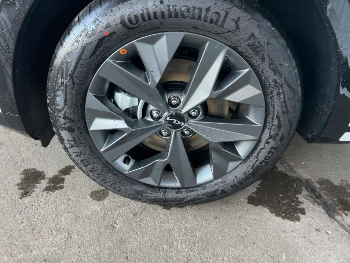 Fahrzeugbild eines Kia Sportage