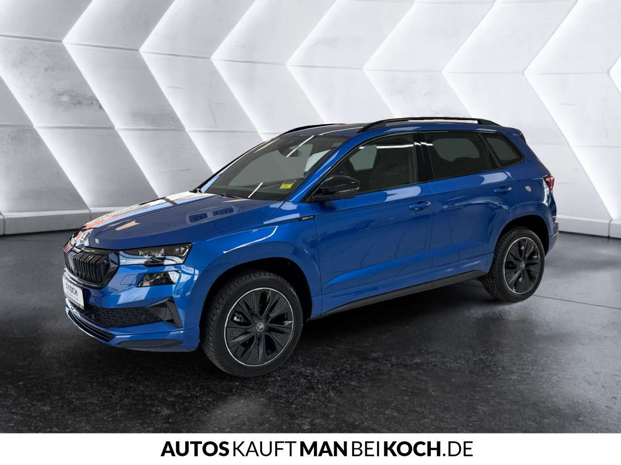 Fahrzeugbild eines Skoda Karoq