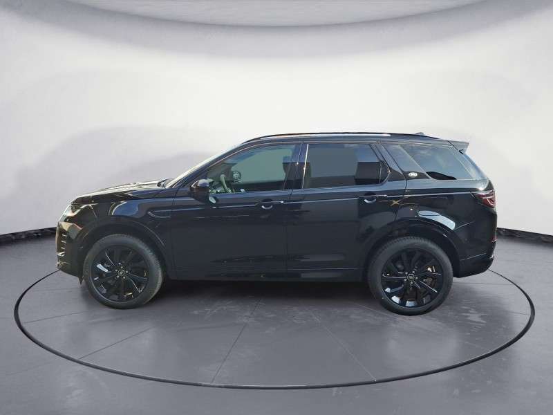 Fahrzeugbild eines Land Rover Discovery