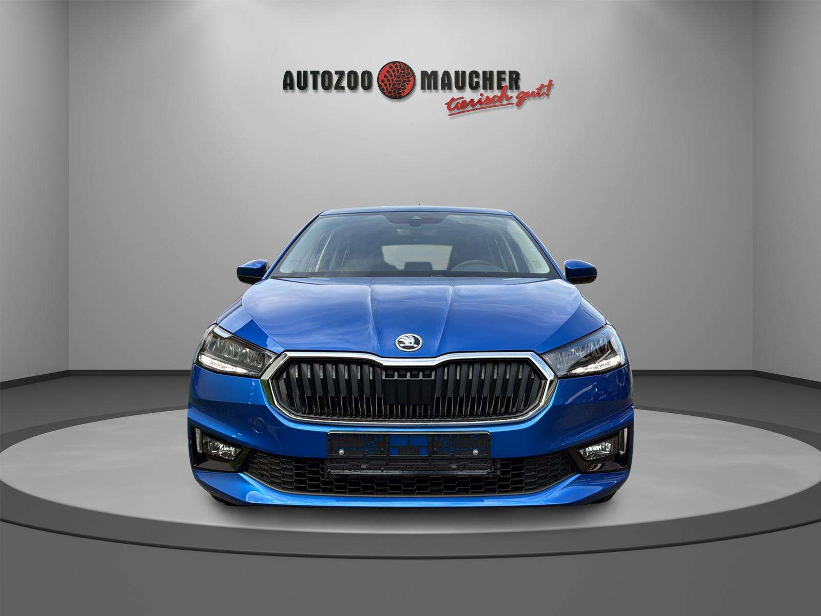 Fahrzeugbild eines Skoda Fabia