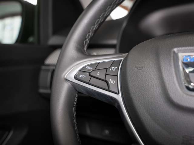 Fahrzeugbild eines Dacia Sandero
