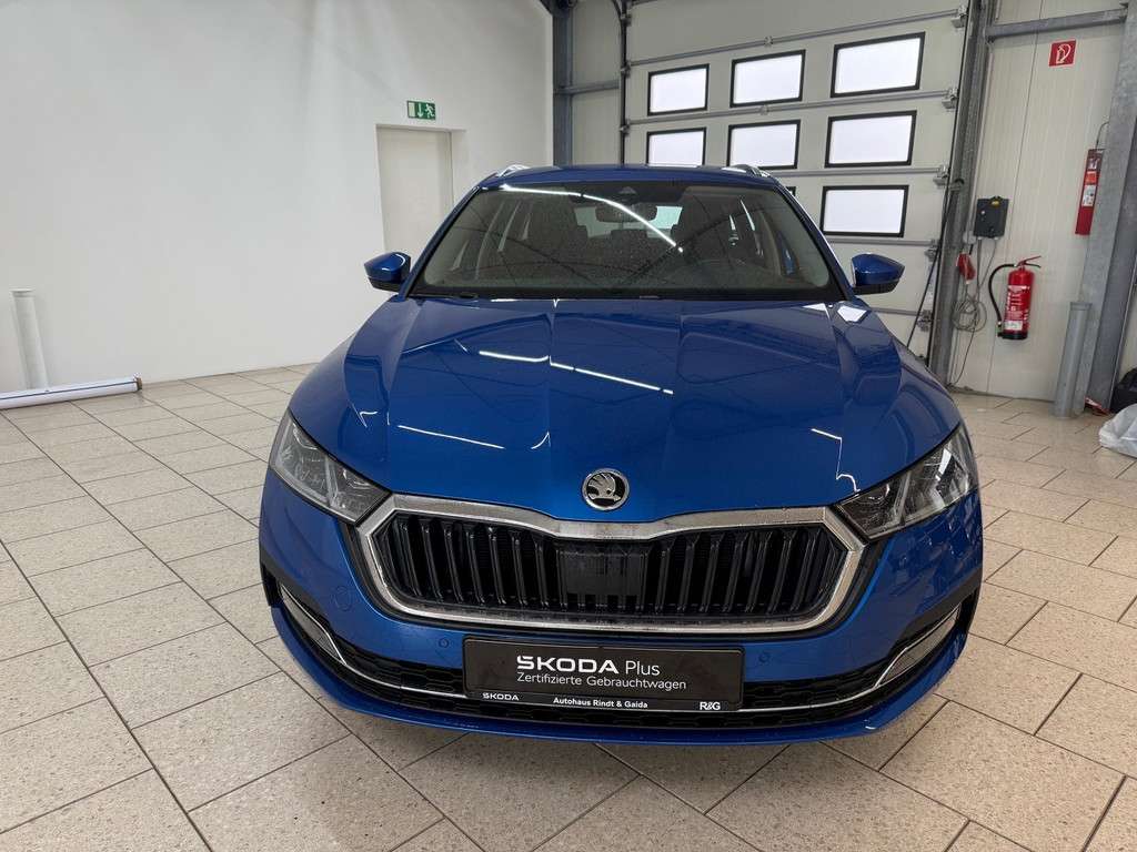 Fahrzeugbild eines Skoda Octavia