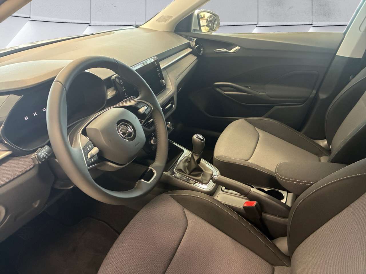 Fahrzeugbild eines Skoda Fabia