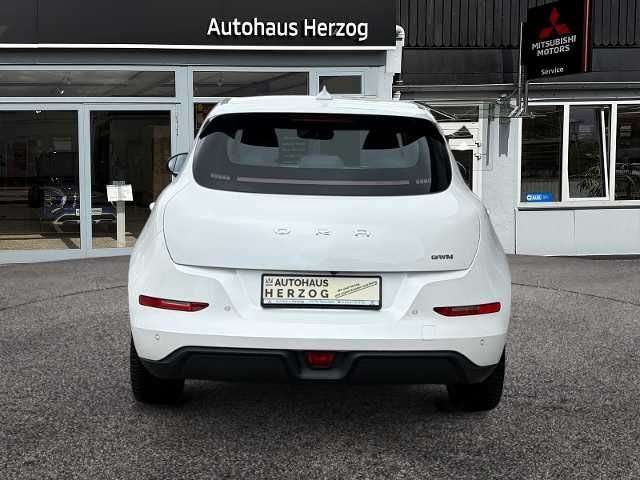 Fahrzeugbild eines GWM Ora 03