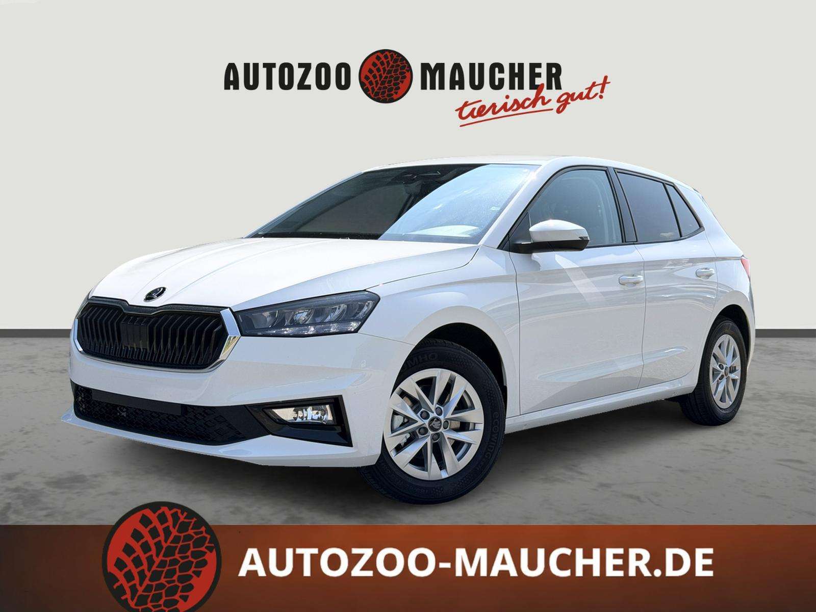 Fahrzeugbild eines Skoda Fabia