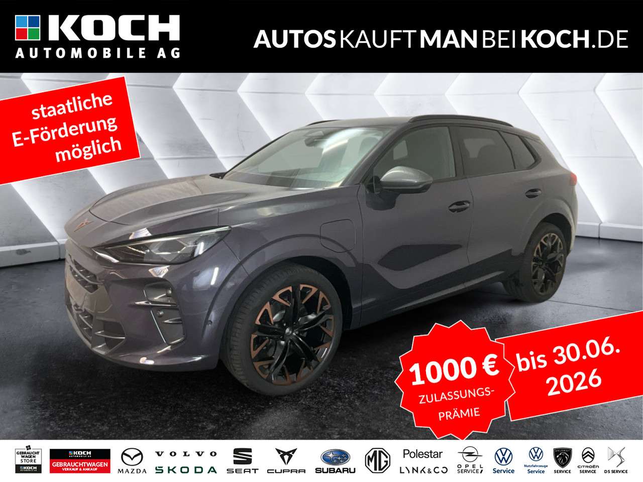 Fahrzeugbild eines CUPRA Terramar