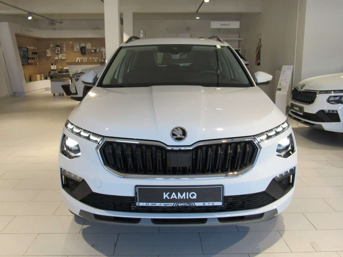 Fahrzeugbild eines Skoda Kamiq