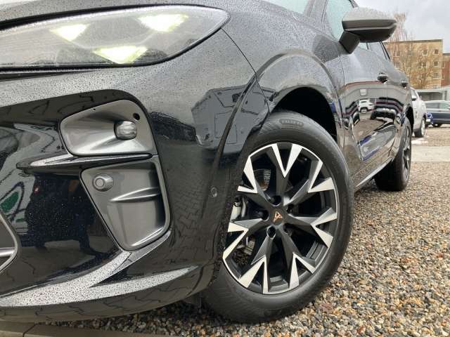 Fahrzeugbild eines CUPRA Terramar