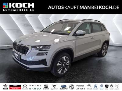 Bild Skoda Karoq