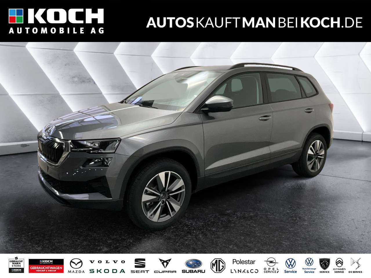 Fahrzeugbild eines Skoda Karoq