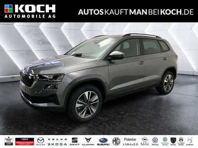 Bild Skoda Karoq