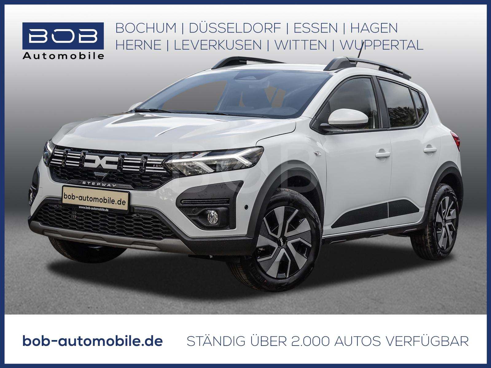 Fahrzeugbild eines Dacia Sandero