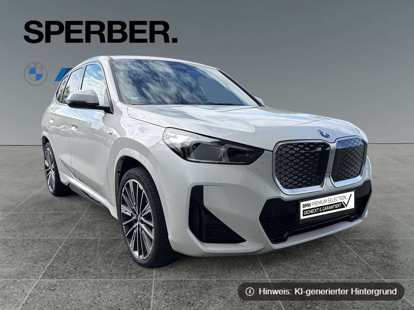 Fahrzeugbild eines BMW iX1