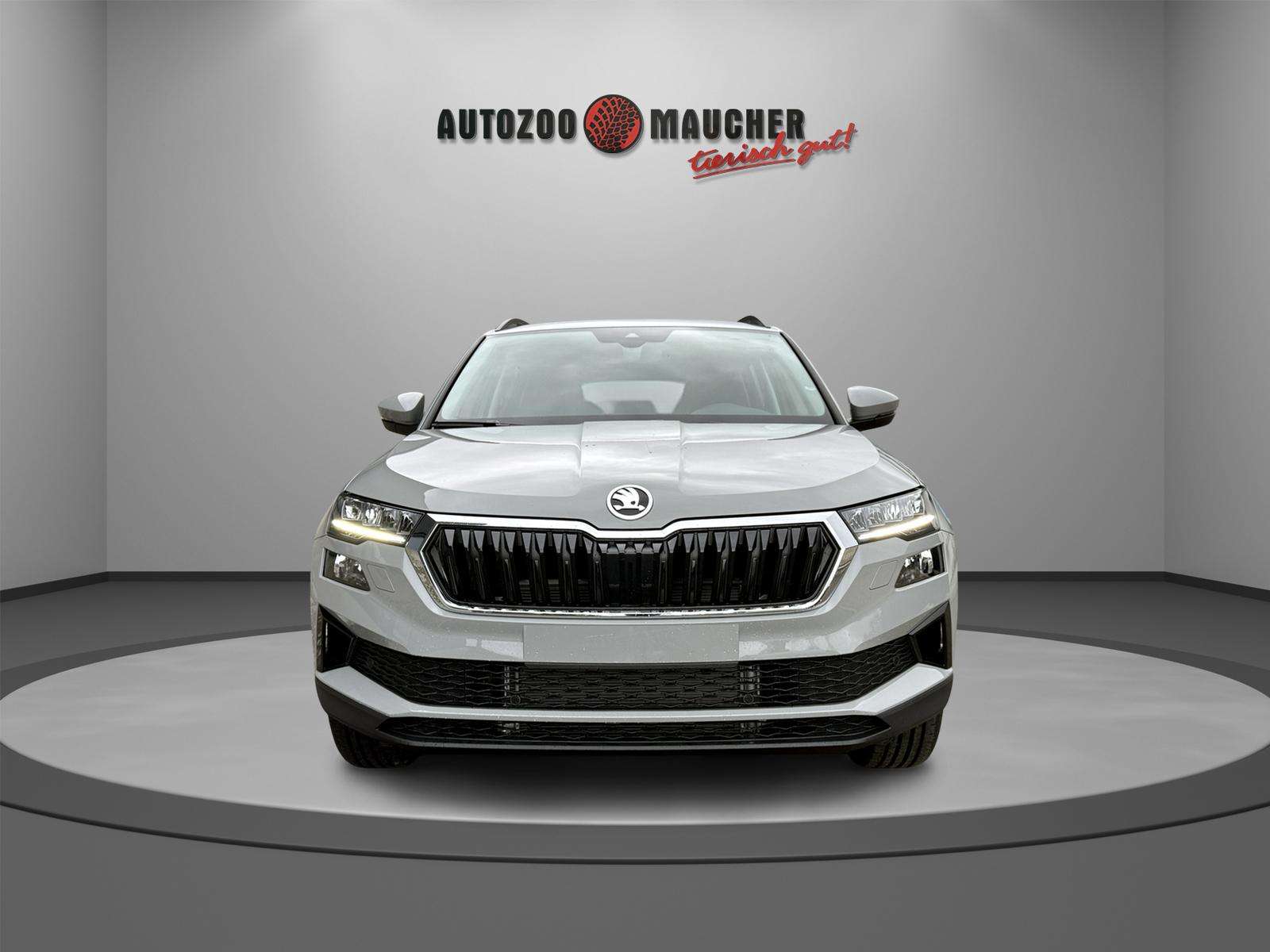Fahrzeugbild eines Skoda Karoq