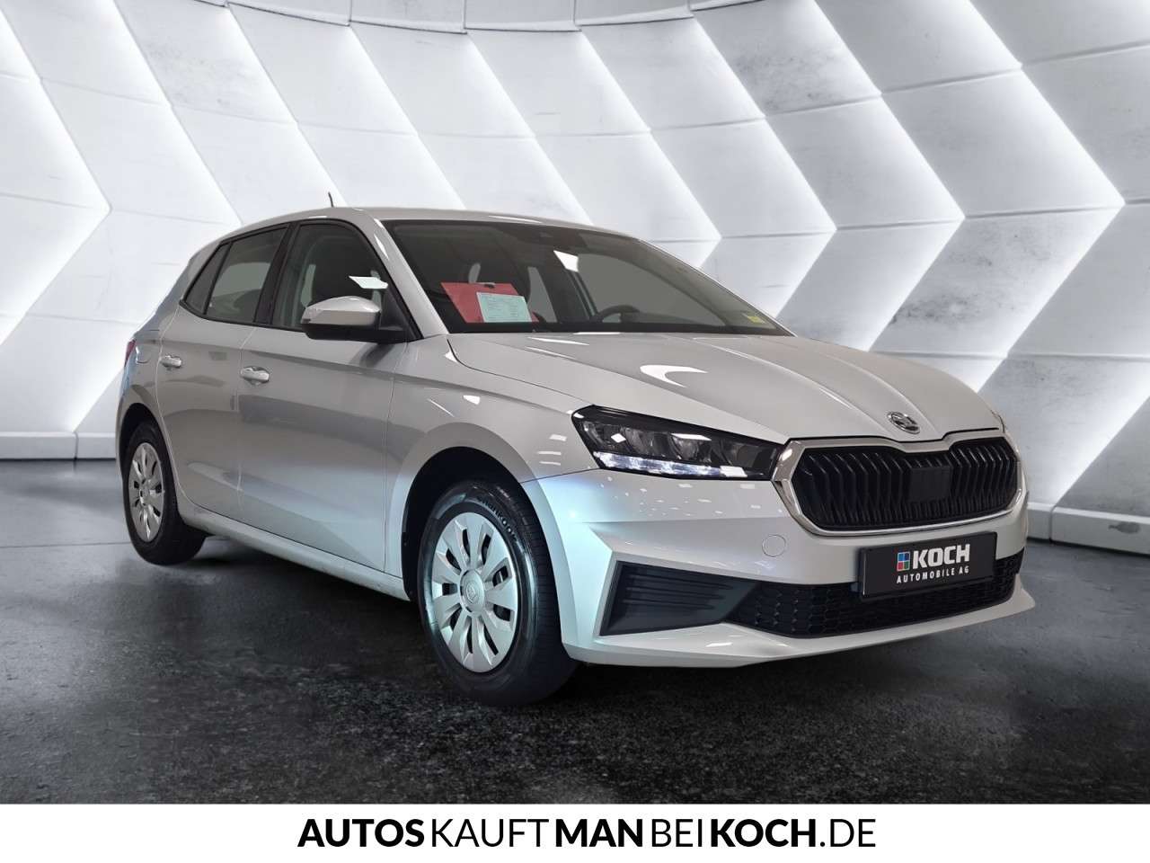 Fahrzeugbild eines Skoda Fabia