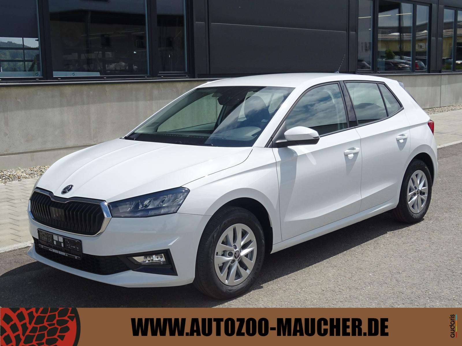 Fahrzeugbild eines Skoda Fabia