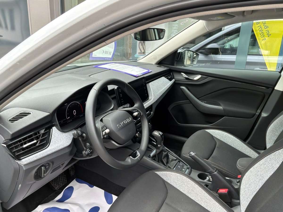 Fahrzeugbild eines Skoda Kamiq