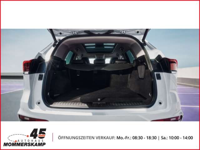 Fahrzeugbild eines GWM Wey 03