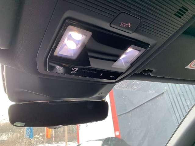 Fahrzeugbild eines CUPRA Terramar