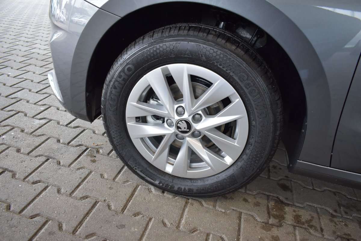 Fahrzeugbild eines Skoda Fabia