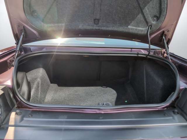 Fahrzeugbild eines Dodge Challenger