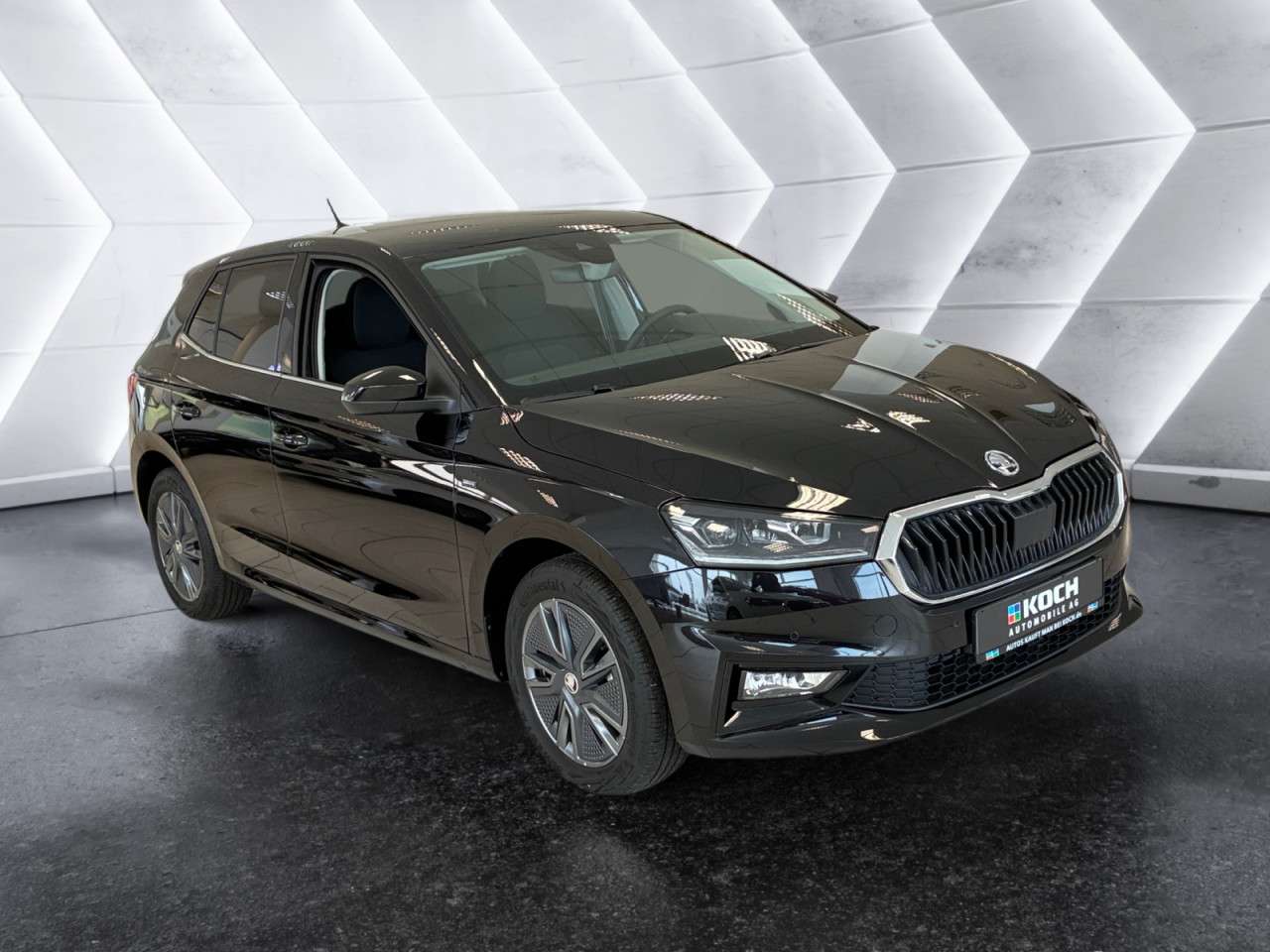 Fahrzeugbild eines Skoda Fabia