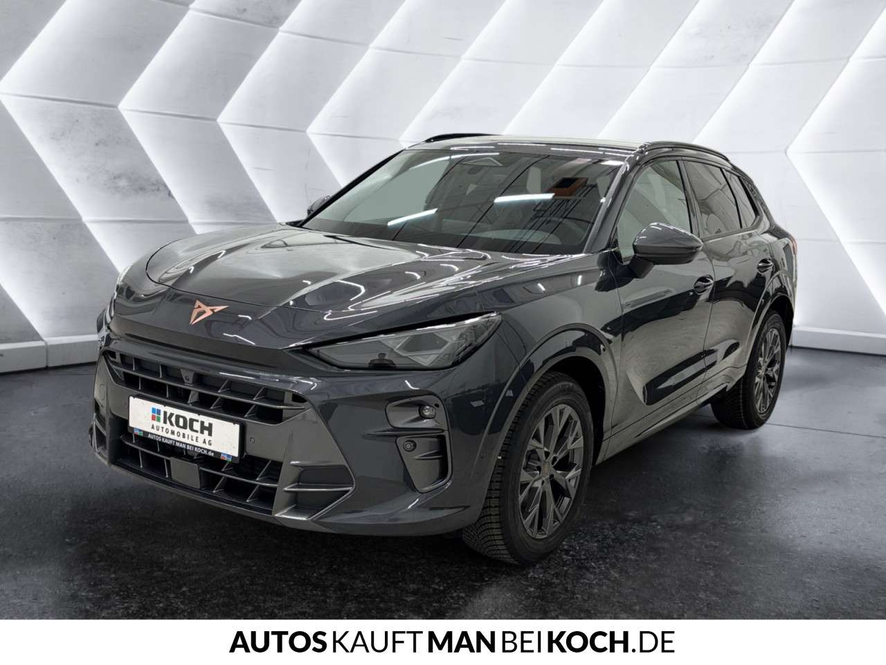 Fahrzeugbild eines CUPRA Terramar