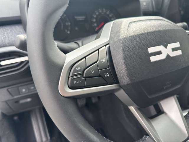 Fahrzeugbild eines Dacia Sandero