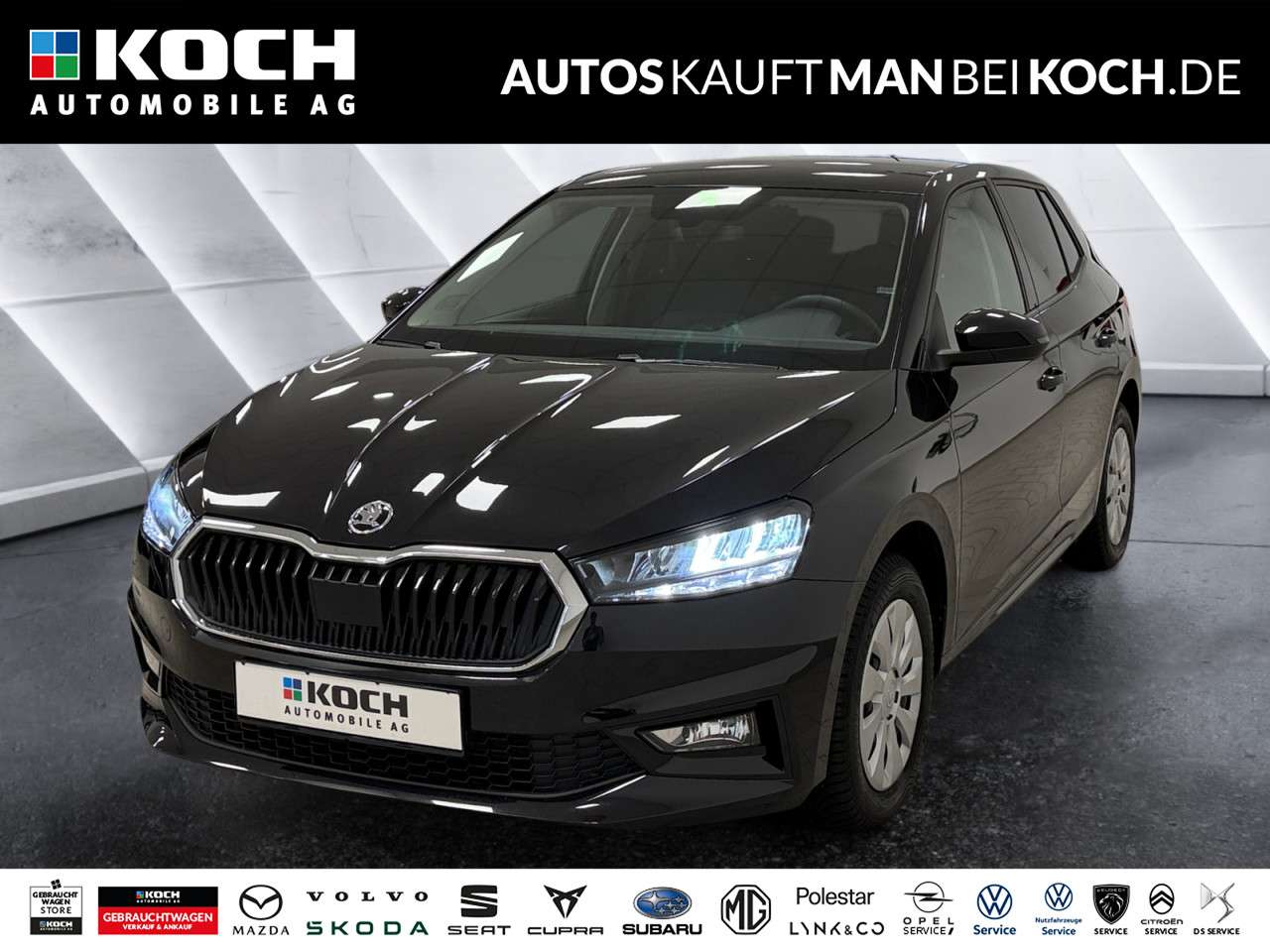 Fahrzeugbild eines Skoda Fabia