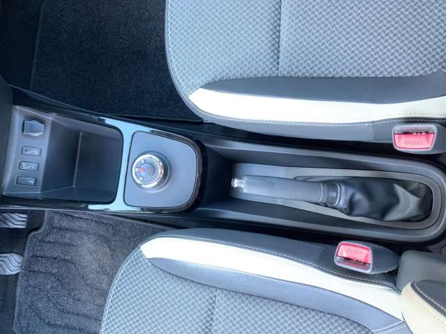 Fahrzeugbild eines Dacia Spring