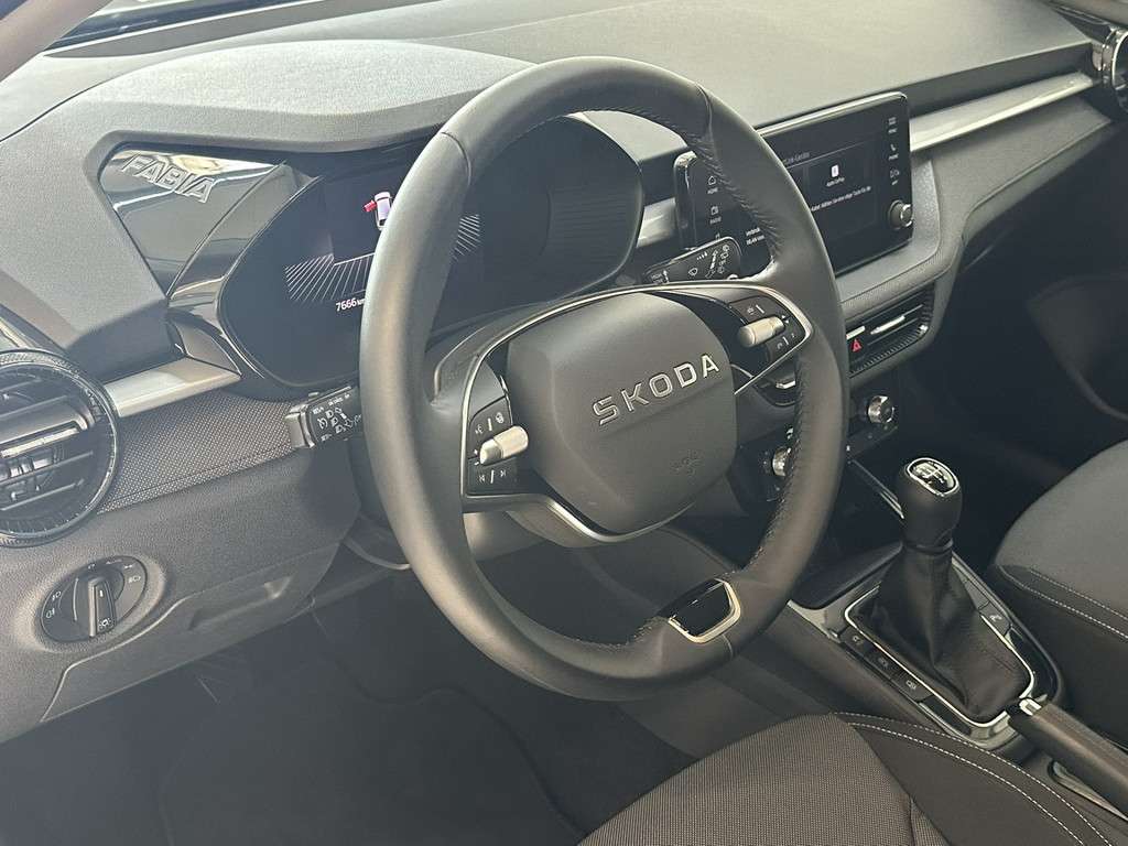Fahrzeugbild eines Skoda Fabia